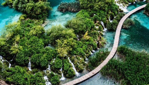 Dla tych, którzy chcą, ale nie wiedzą jak …